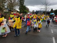 2018 – Karnevalsumzug