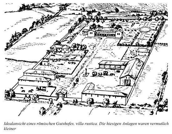 Alte Rheinarme bei Esch