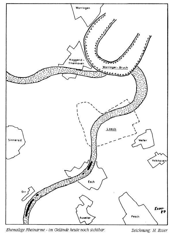 Alte Rheinarme bei Esch